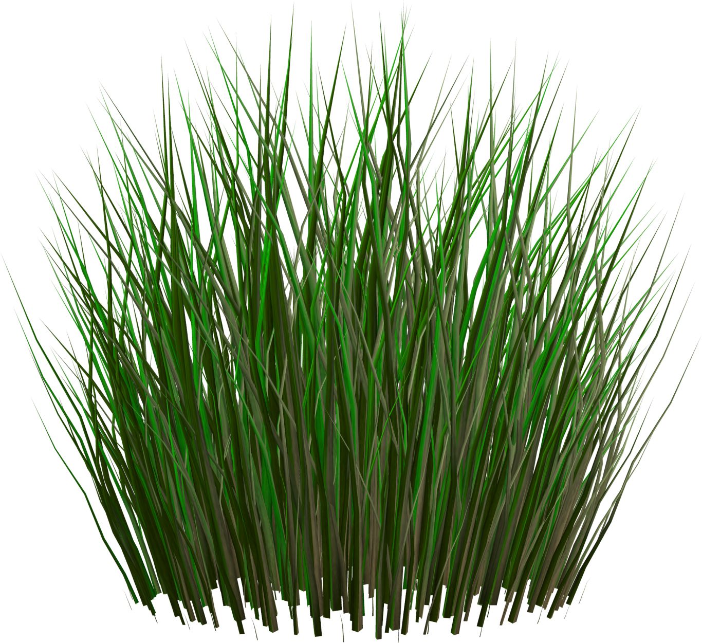 grass png image, green grass PNG picture     图片编号:4933