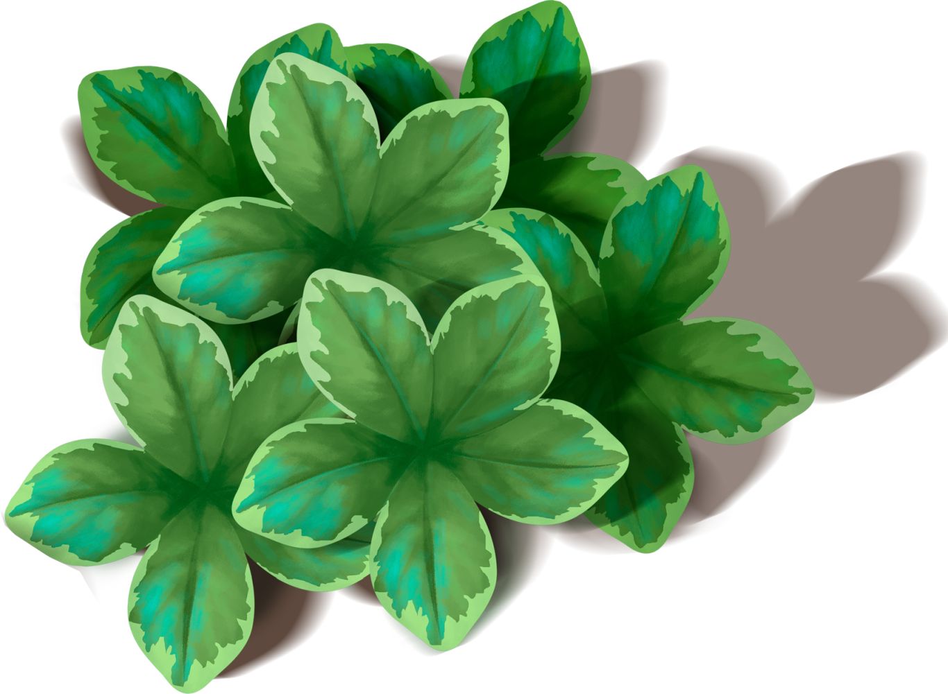 Green leaf PNG     图片编号:3679