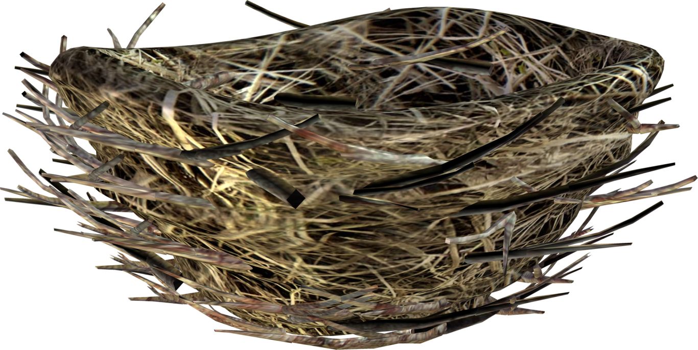 Nest PNG     图片编号:67268