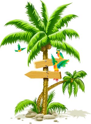 Tropical palm tree PNG     图片编号:2483