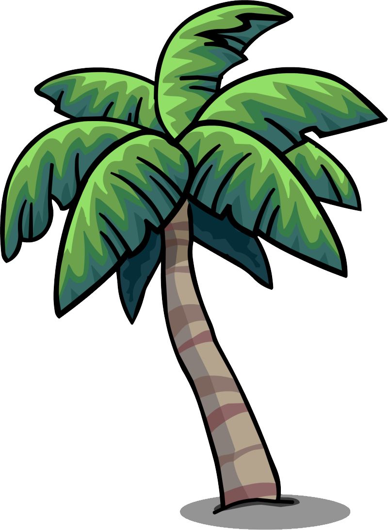 Palm tree PNG     图片编号:93254