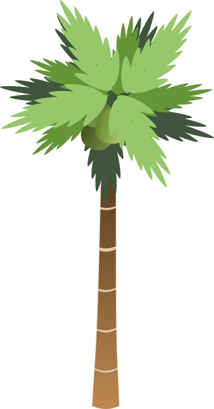 Palm tree PNG     图片编号:93262