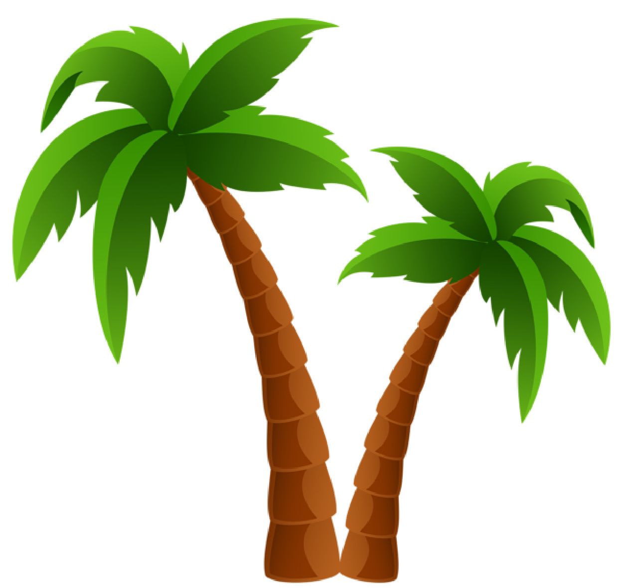 Palm tree PNG     图片编号:93263