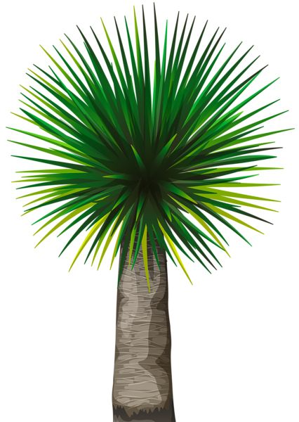 Palm tree PNG     图片编号:93266