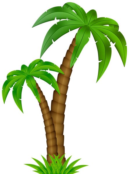 Palm tree PNG     图片编号:93273