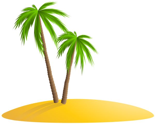 Palm tree PNG     图片编号:93275