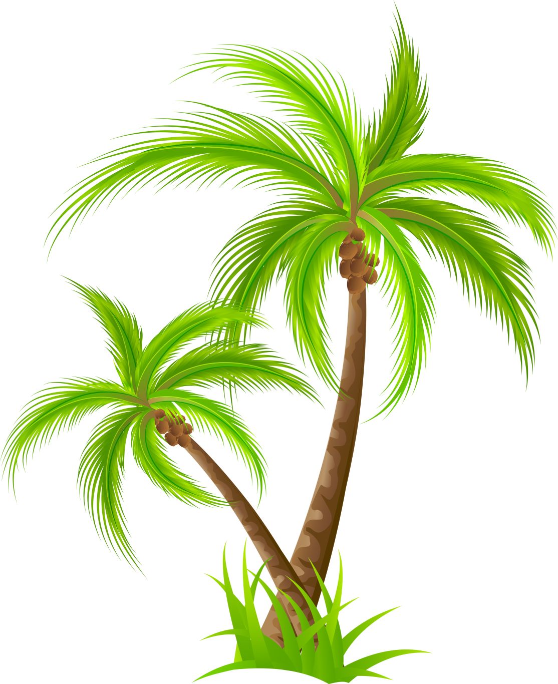 Palm tree PNG     图片编号:93277