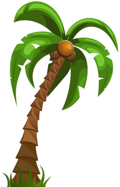 Palm tree PNG     图片编号:93283