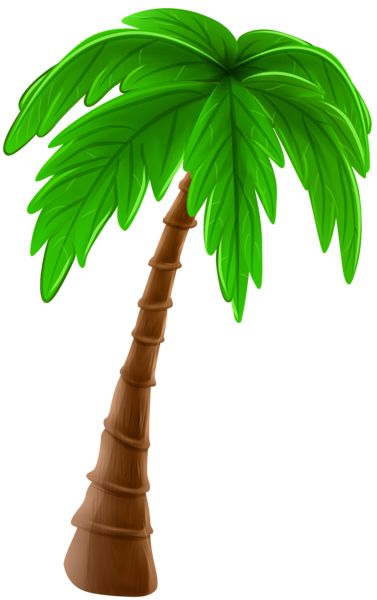 Palm tree PNG     图片编号:93285