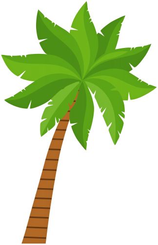 Palm tree PNG     图片编号:93288