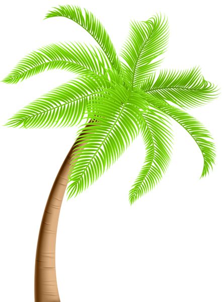 Palm tree PNG     图片编号:93289