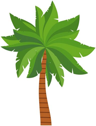 Palm tree PNG     图片编号:93291