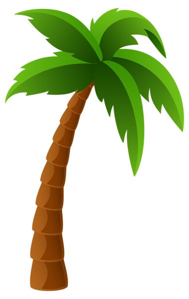 Palm tree PNG     图片编号:93298