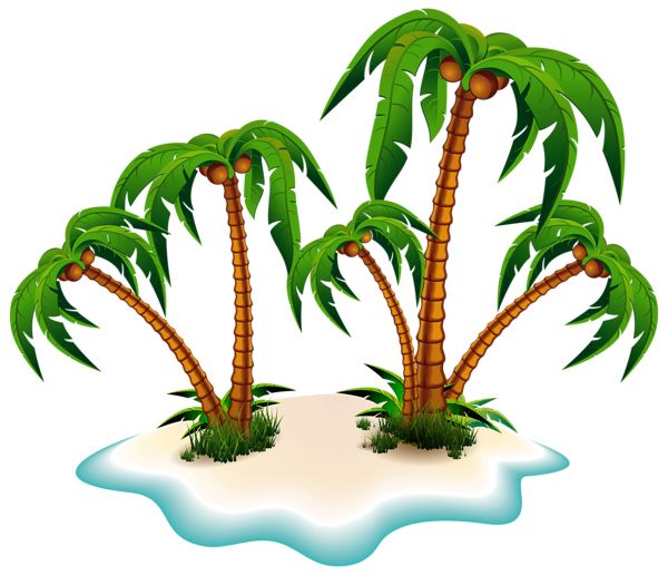 Palm tree PNG     图片编号:93305