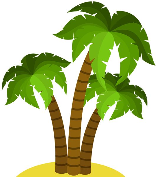 Palm tree PNG     图片编号:93307