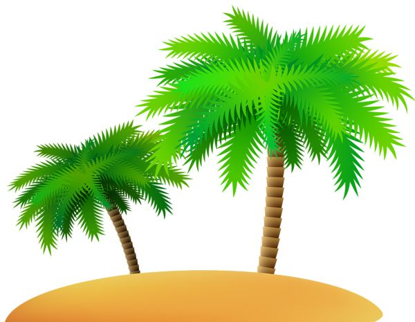 Palm tree PNG     图片编号:93308