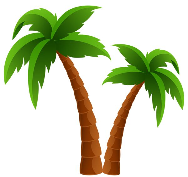 Palm tree PNG     图片编号:93314