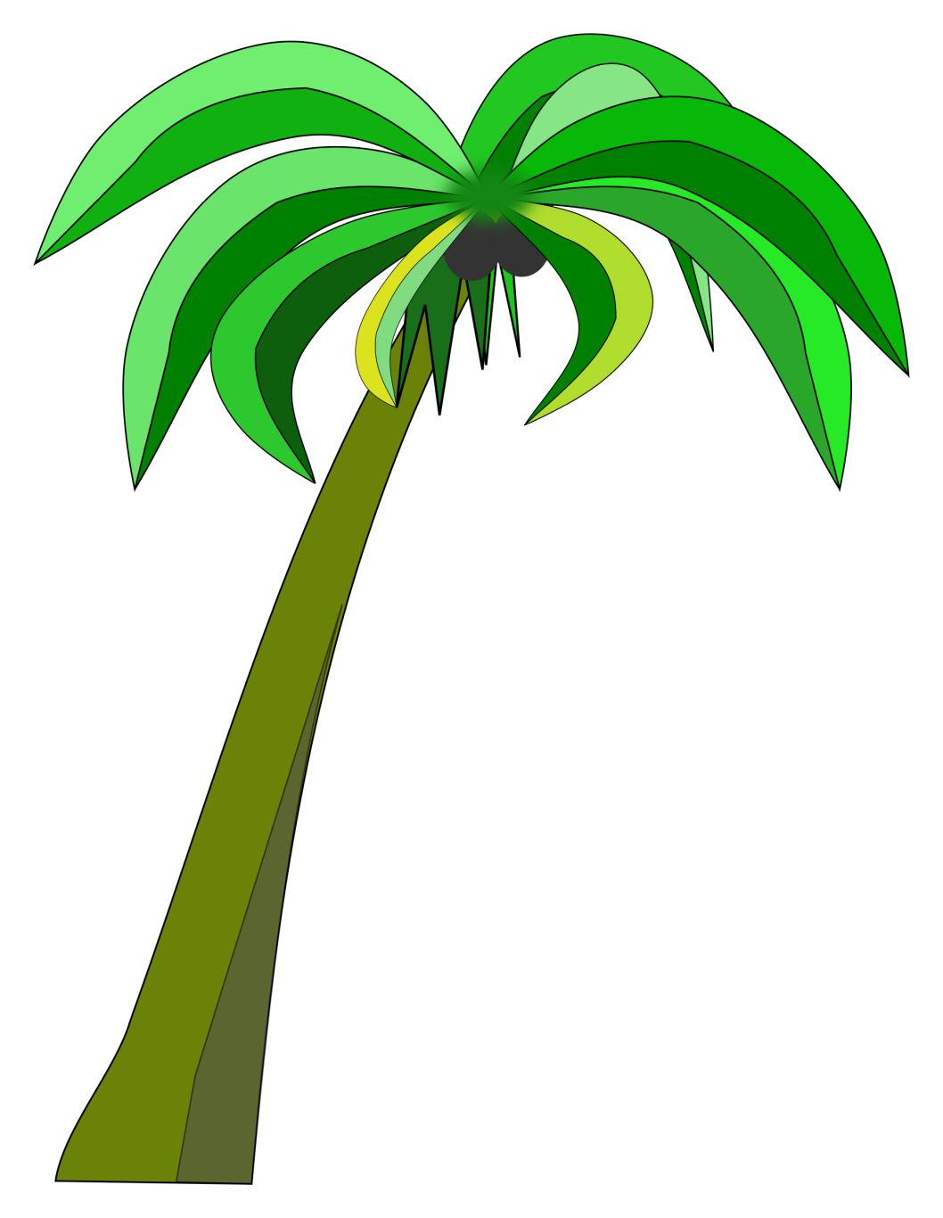 Palm tree PNG     图片编号:93317