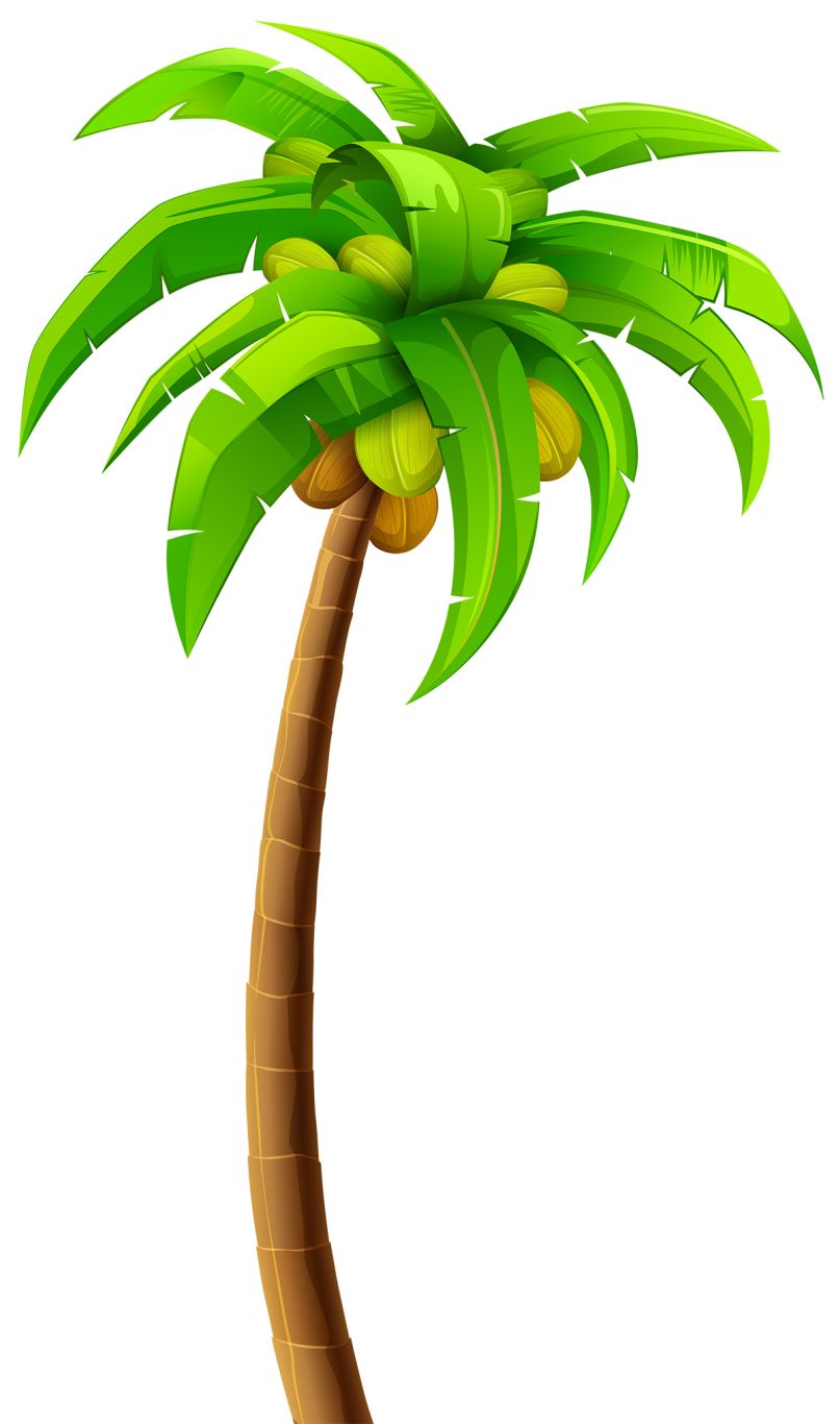 Palm tree PNG     图片编号:93335