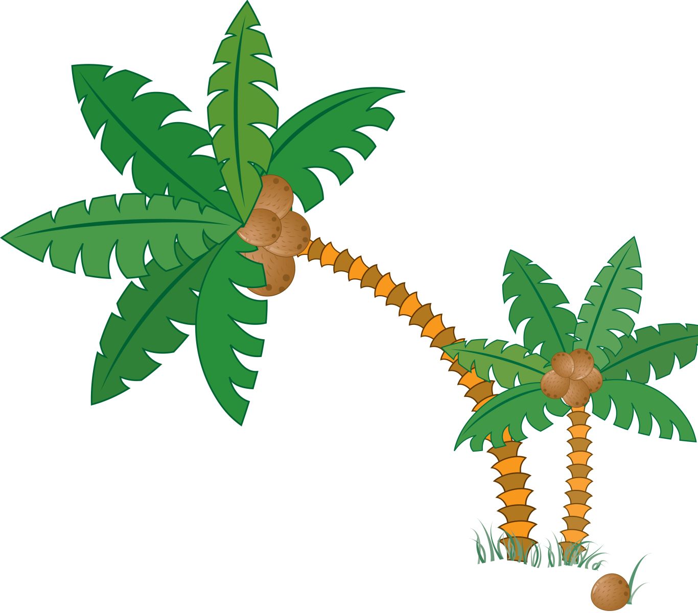 Palm tree PNG     图片编号:93346