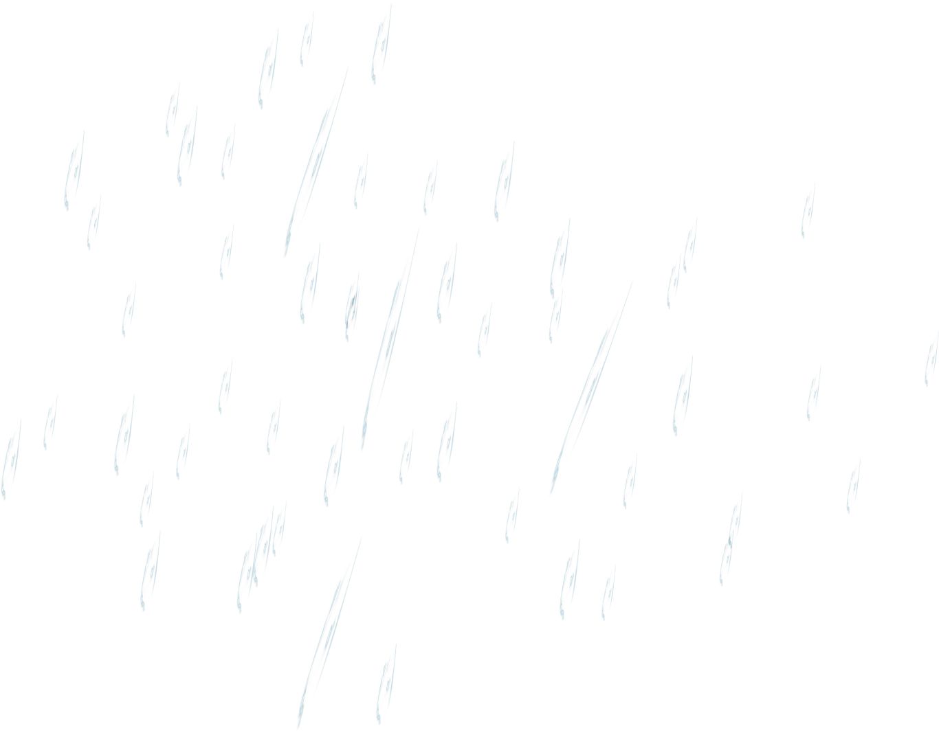 rain PNG     图片编号:13453
