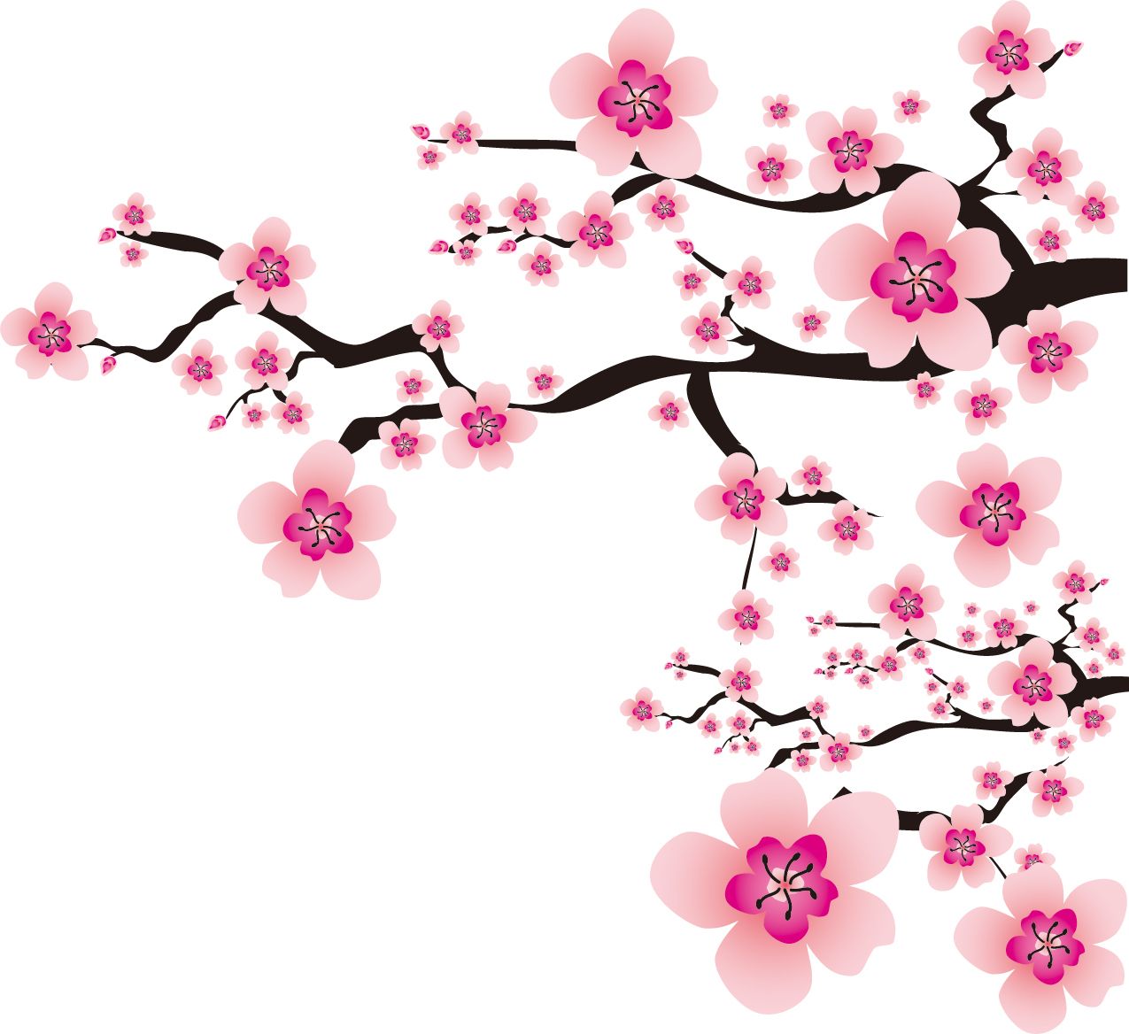 Sakura PNG     图片编号:49796