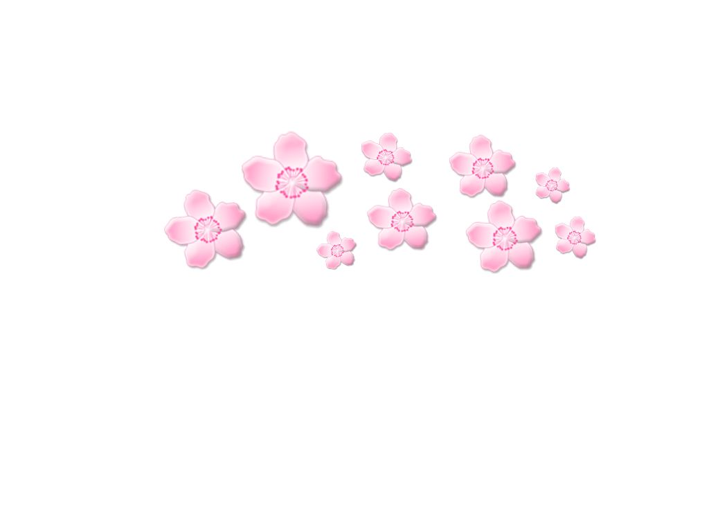 Sakura PNG     图片编号:49798