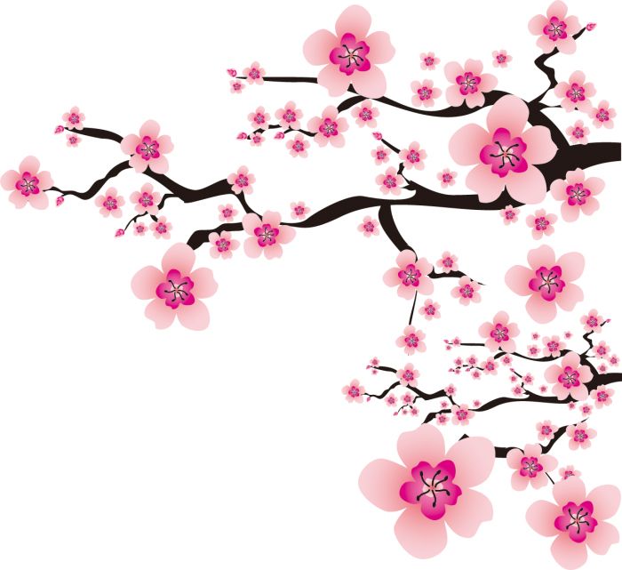 Sakura PNG     图片编号:49800