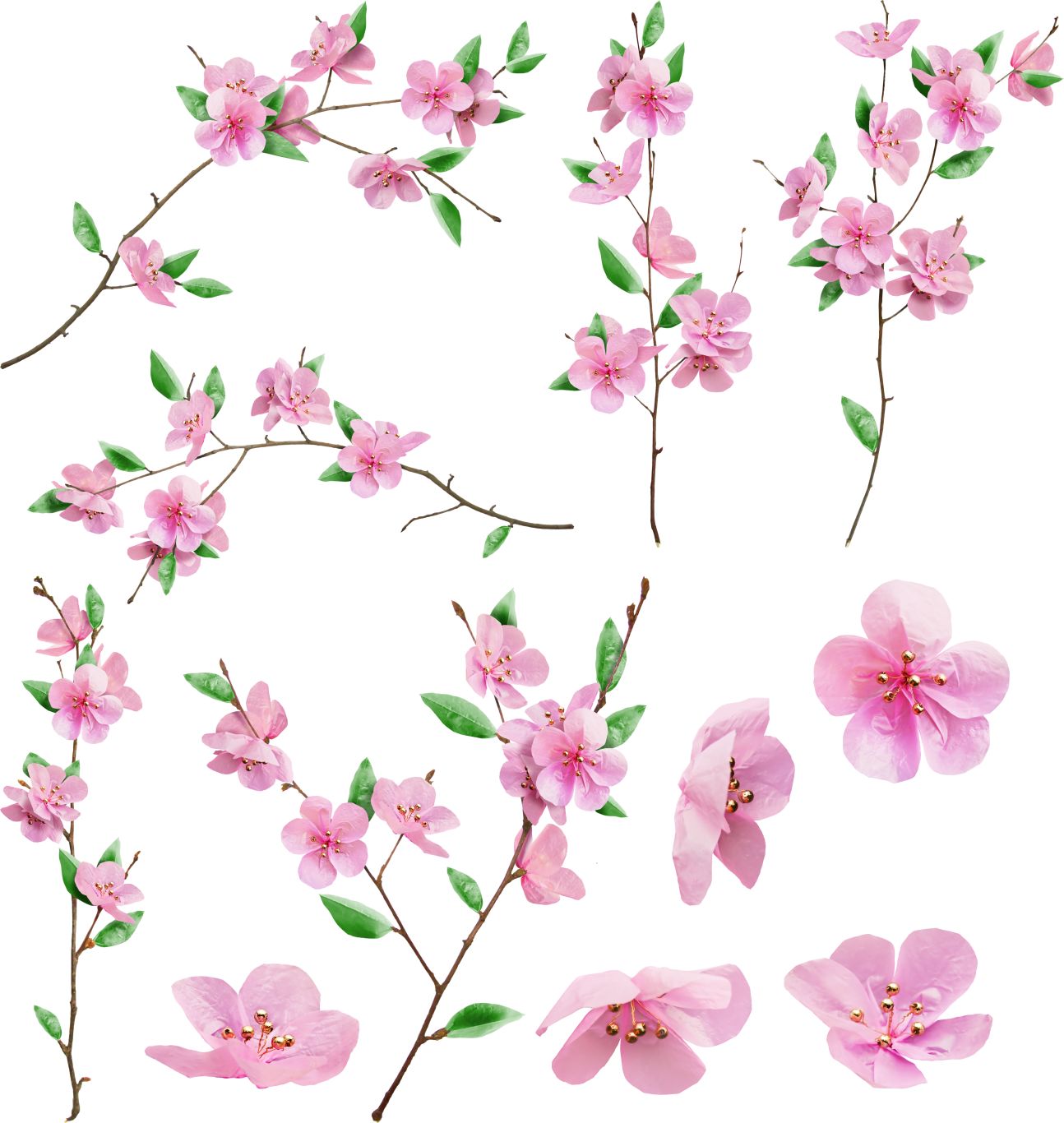Sakura PNG     图片编号:49787