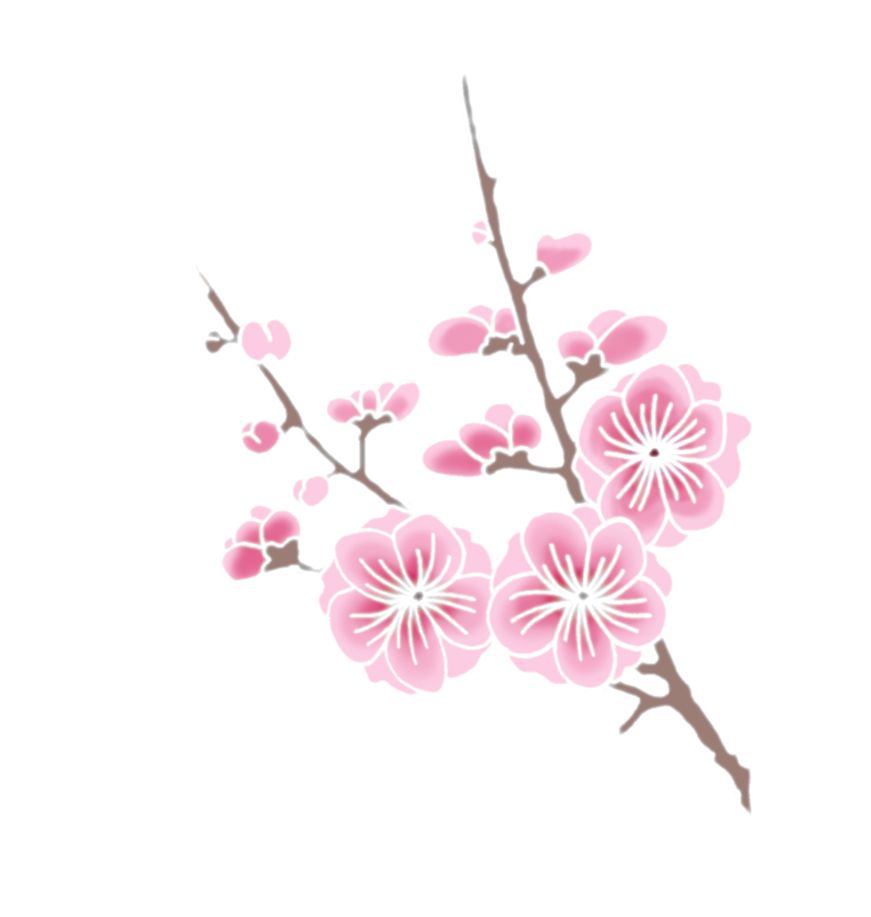 Sakura PNG     图片编号:49815