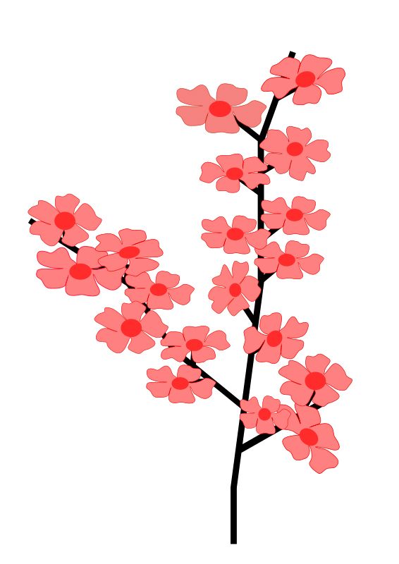 Sakura PNG     图片编号:49822