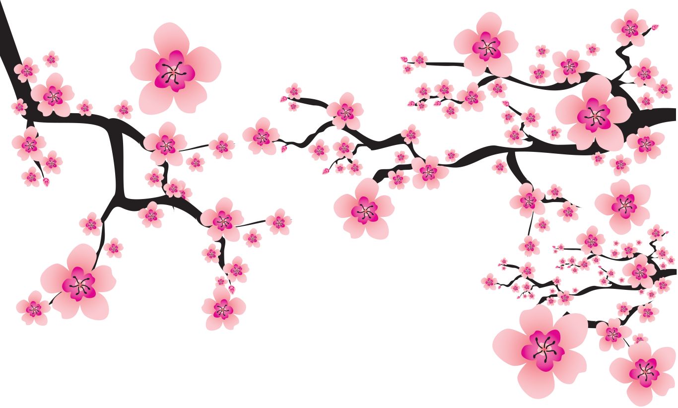 Sakura PNG     图片编号:49788