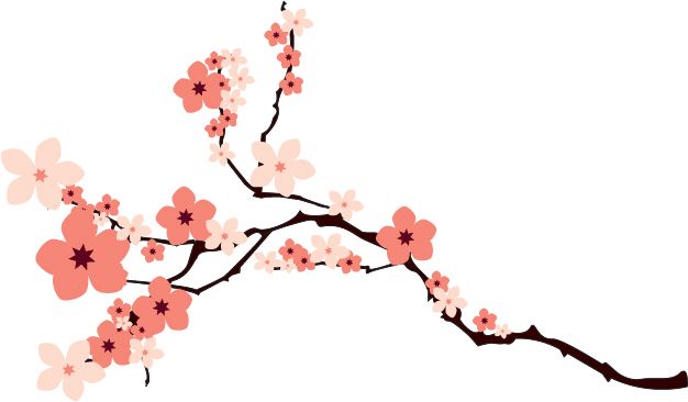 Sakura PNG     图片编号:49831