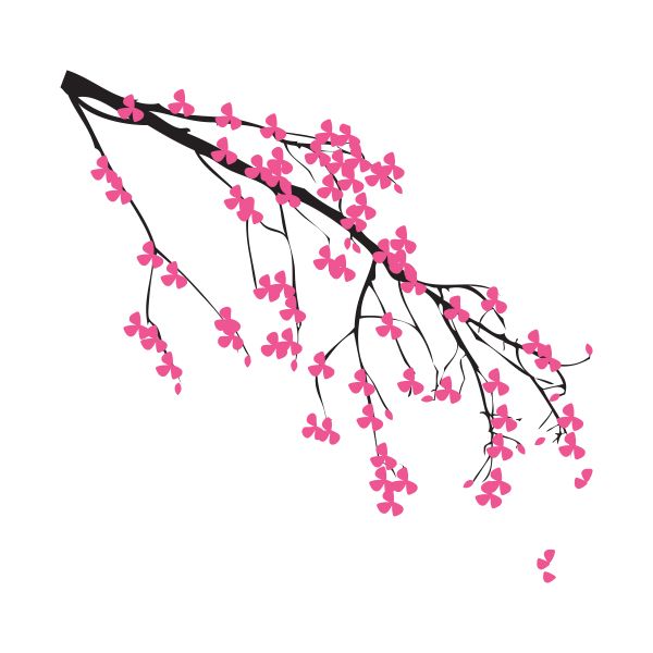 Sakura PNG     图片编号:49840