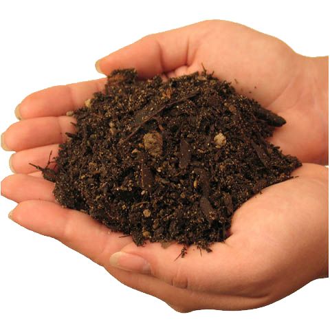 Soil in hands PNG     图片编号:72544