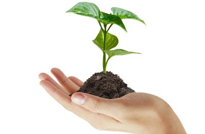 Soil in hand PNG     图片编号:72565