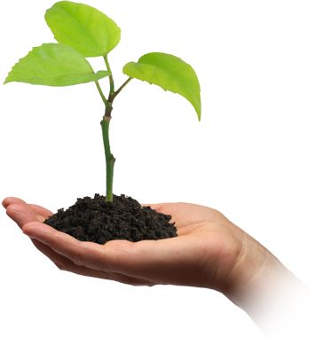 Soil in hand PNG     图片编号:72566