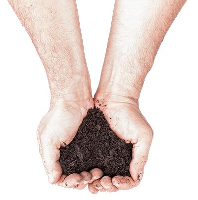 Soil in hands PNG     图片编号:72568