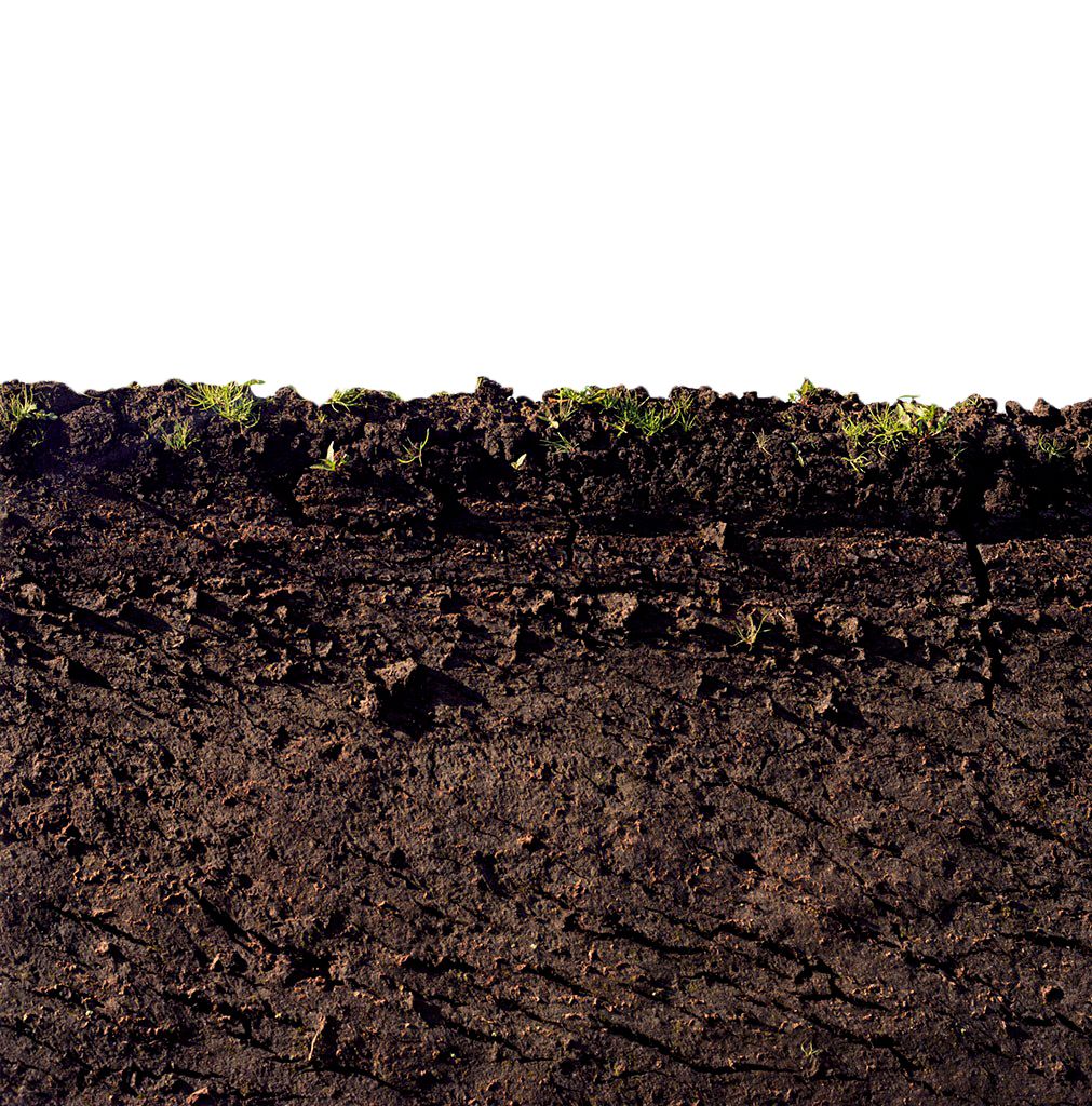 Soil PNG     图片编号:72588