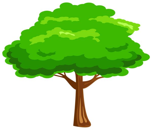 tree PNG     图片编号:104385
