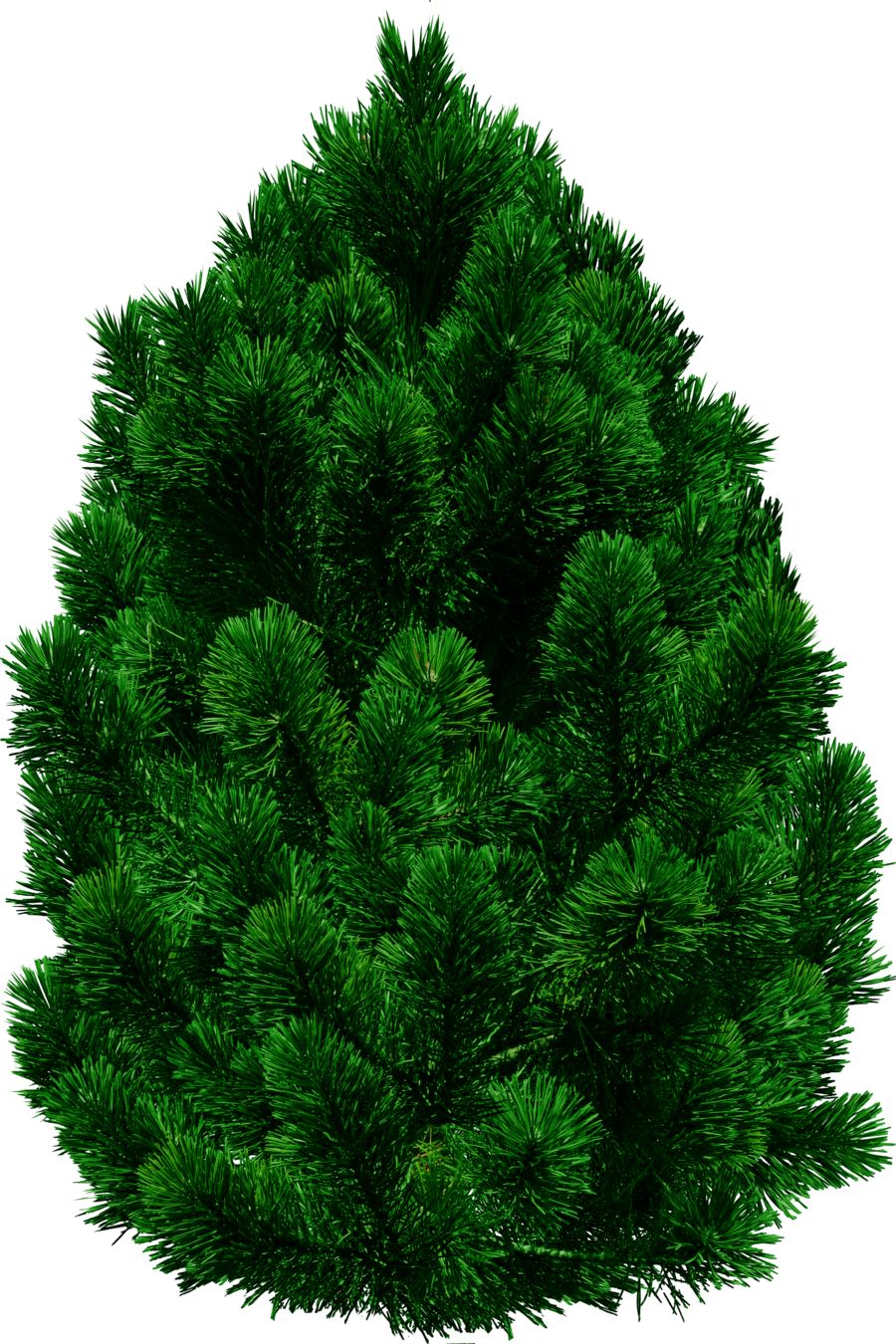 tree png image, free download, picture     图片编号:208