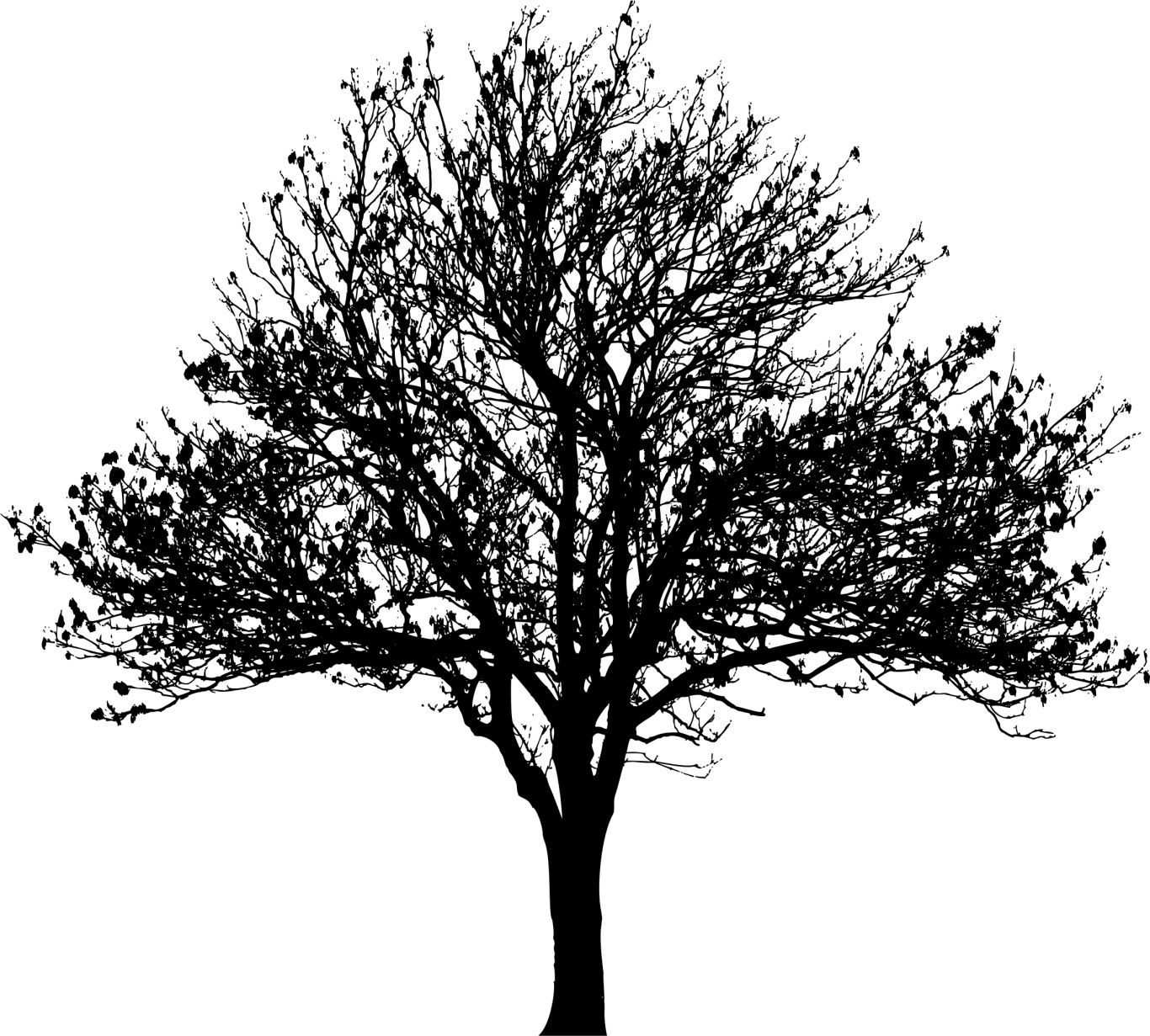 tree PNG     图片编号:92702