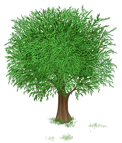 tree PNG     图片编号:92728