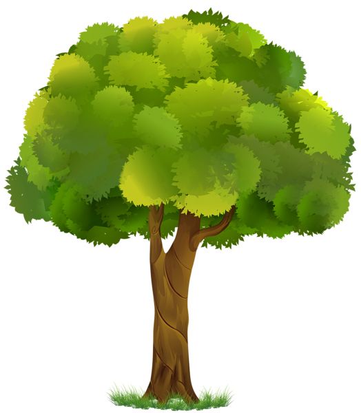tree PNG     图片编号:92769