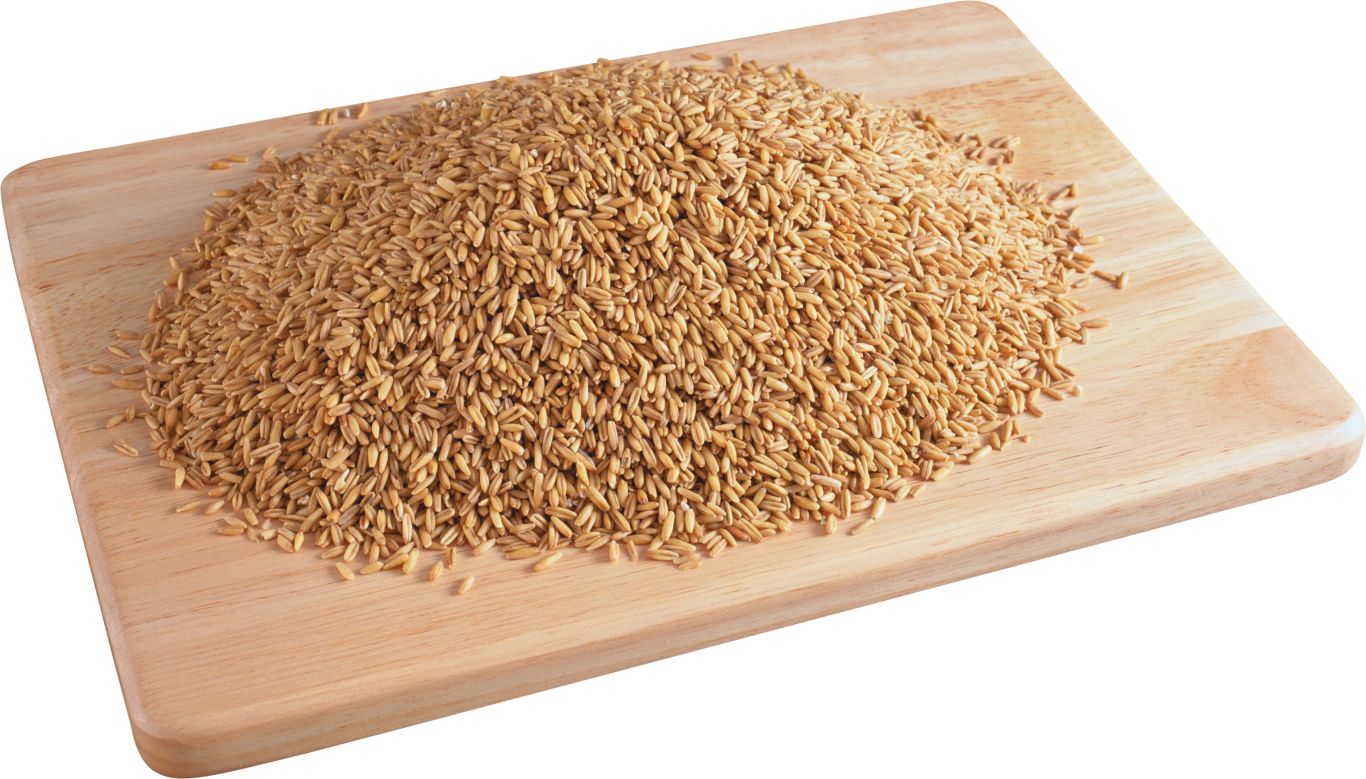 Wheat PNG     图片编号:36418
