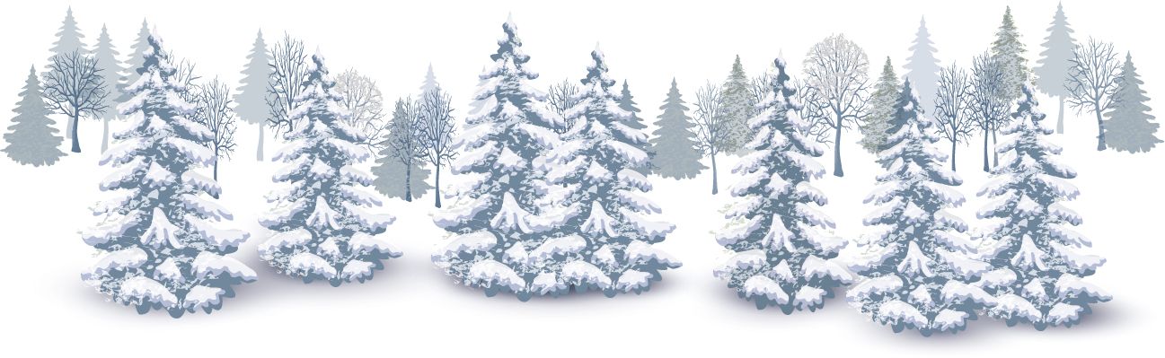 Winter forest PNG     图片编号:95965