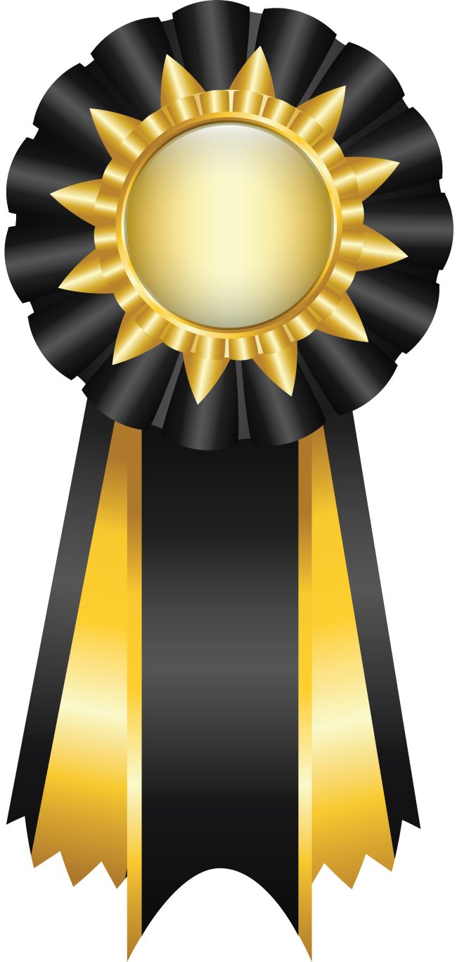 Award, trophy PNG    图片编号:94713