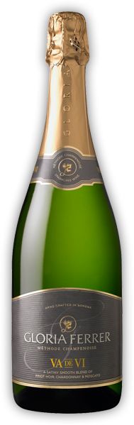Champaign bottle PNG image    图片编号:2078