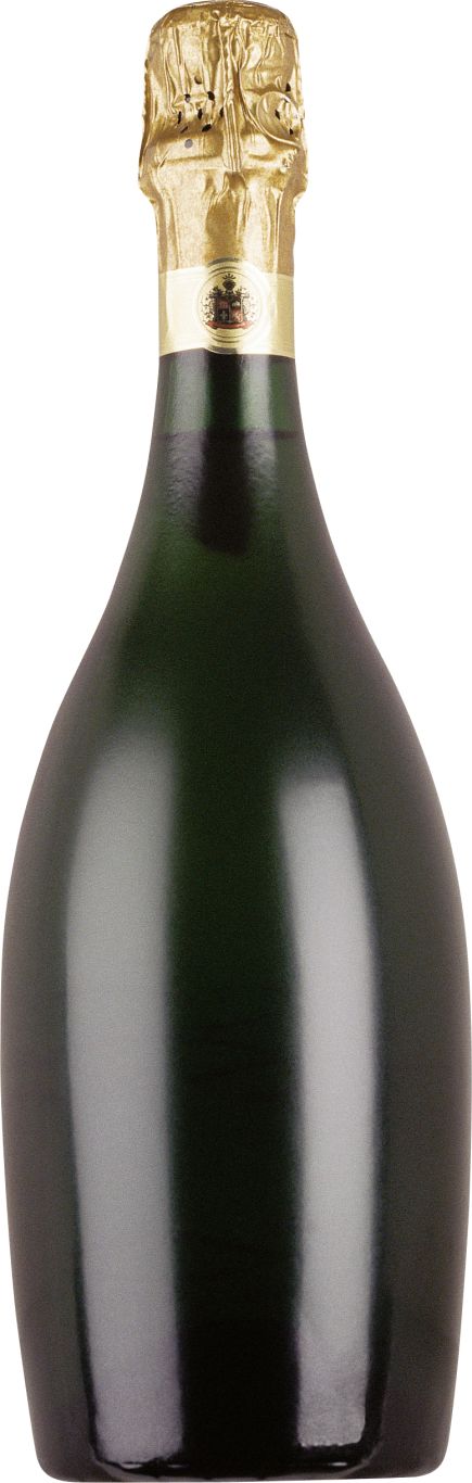 Champagne bottle PNG image    图片编号:2928
