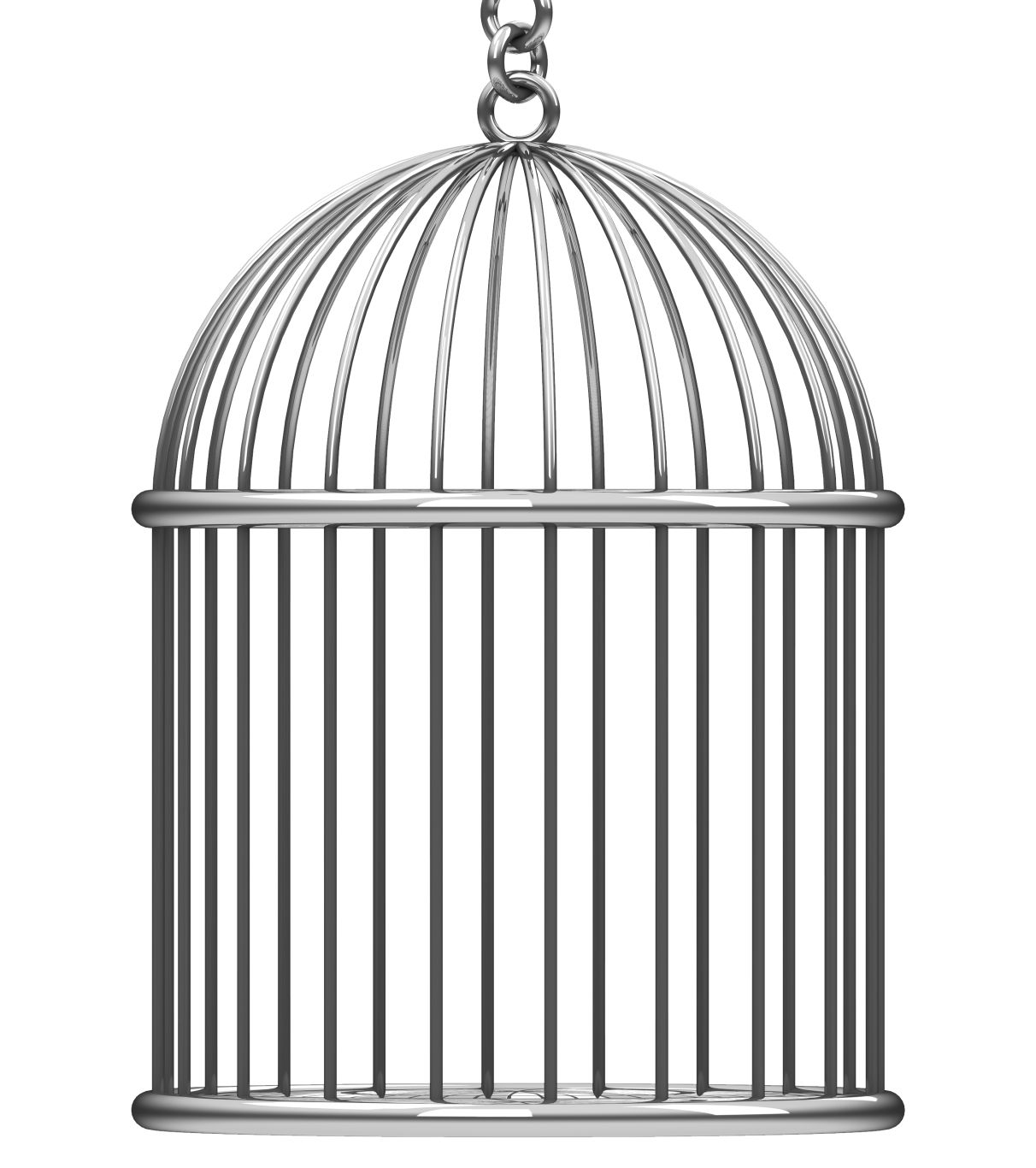 Cage bird PNG    图片编号:41387